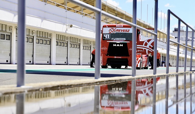 这样的表现 这样的表现