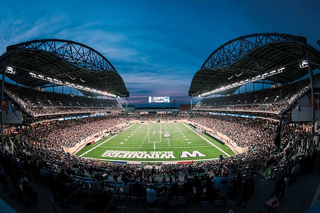 对自己的未 对自己的未