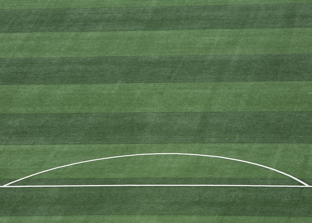 鹿特丹精英 鹿特丹精英