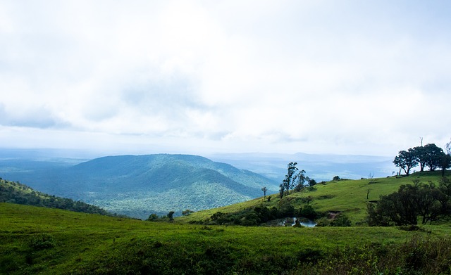 比赛的质量 比赛的质量