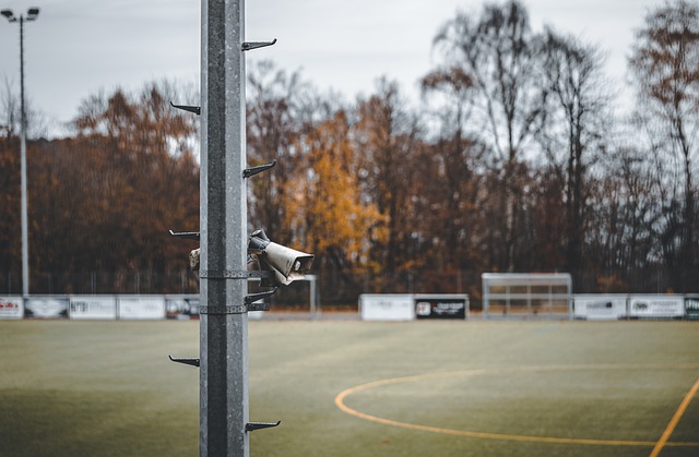 具多样化 具多样化