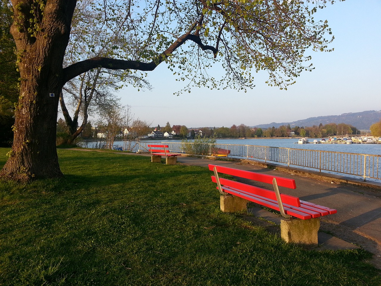 尤其会重视 尤其会重视