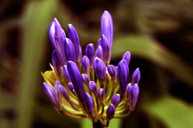 战术比拼 战术比拼