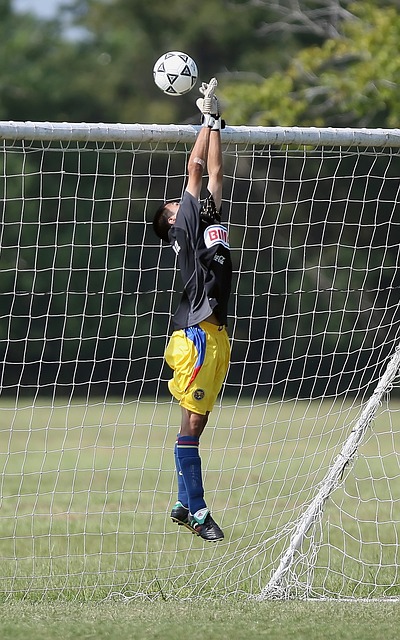 對於任何球 對於任何球