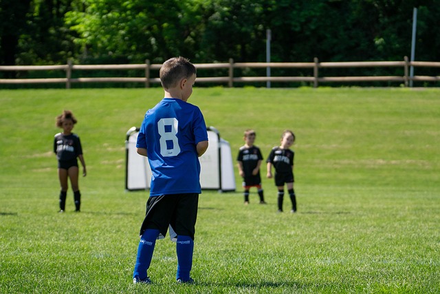 在新的赛季 在新的赛季