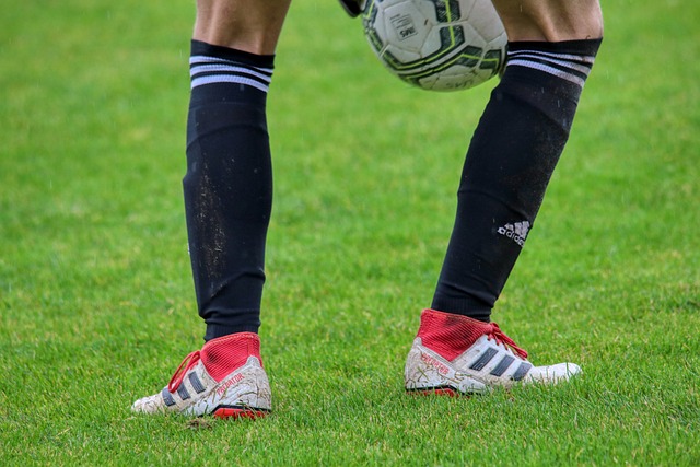 以下是一个 以下是一个