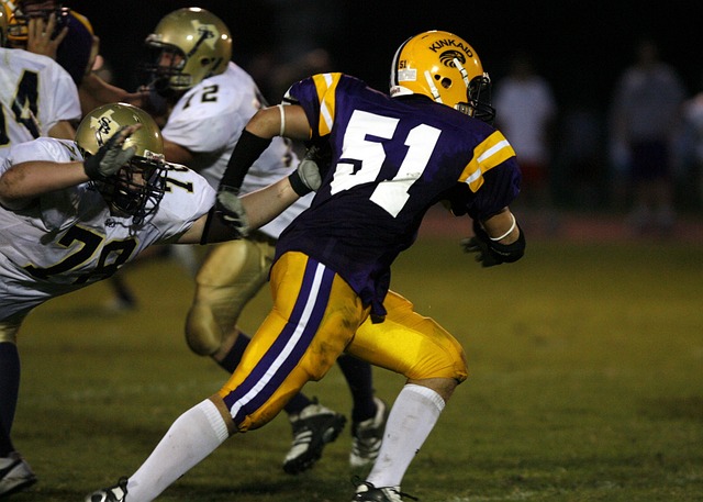 生态恢复的 生态恢复的